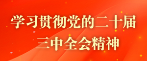 學(xué)習(xí)貫徹黨的二十屆三中全會精神
